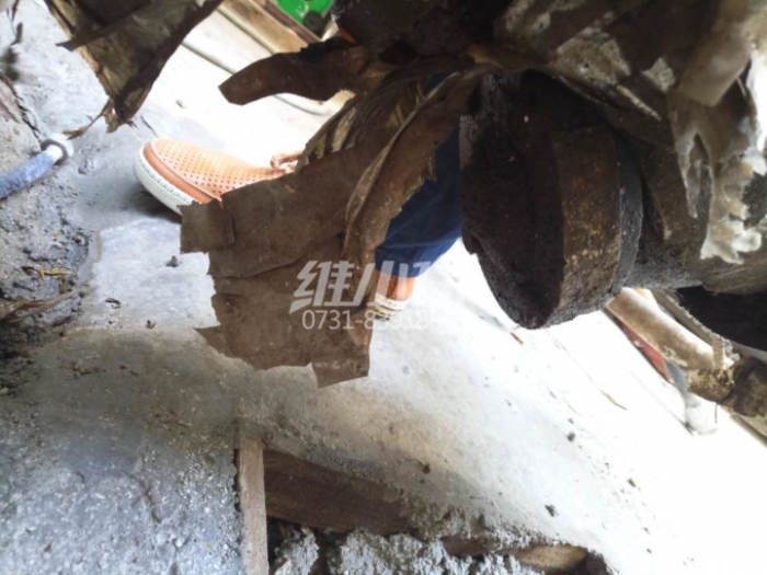 超越領跑中央空調市場